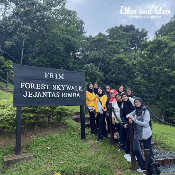 elka elza forest skywalk entrance